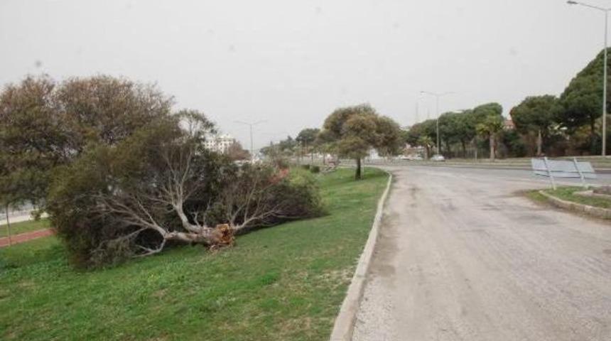 Aliağa'da 695 Yıllık Cami Minaresi K&uuml;lahı Devrildi