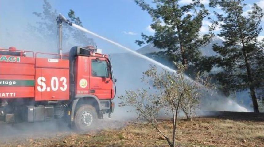 Denizli'de Piknik Ateşi 4 Hektar Ormanı Yaktı-Yeniden
