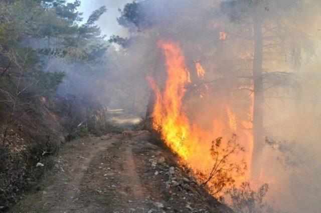 Denizli'de Piknik Ateşi 4 Hektar Ormanı Yaktı-Yeniden