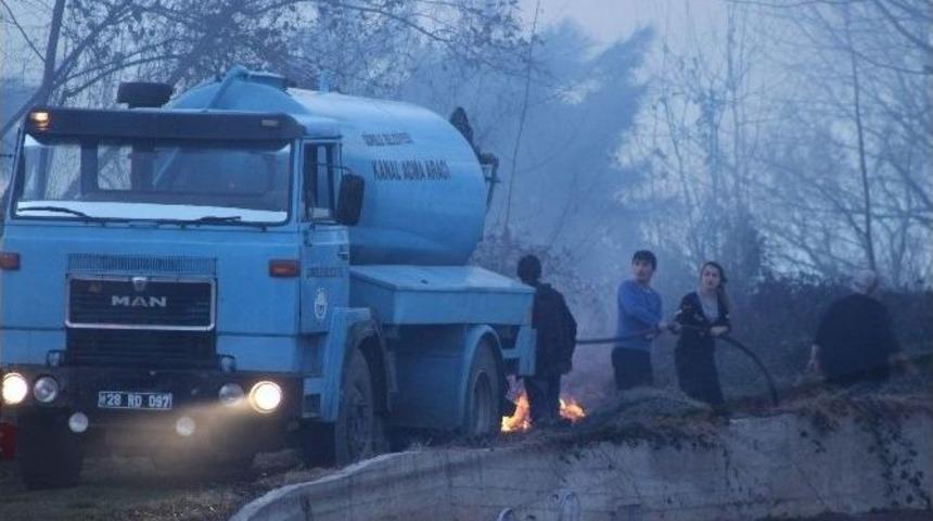 Giresun&rsquo;da Fındıklık Ve &Ccedil;alılık Yangını