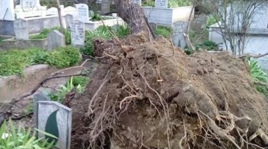 Lodos Mezarları Da Yerle Bir Etti