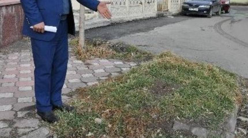 Sivas&rsquo;ta Sokak Ortasındaki Mezar G&ouml;renleri Şaşırtıyor