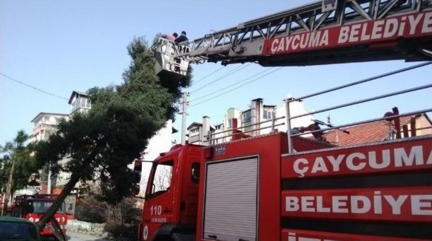 &Ccedil;aycuma İtfaiyesi Fırtına İhbarlarını Değerlendirdi