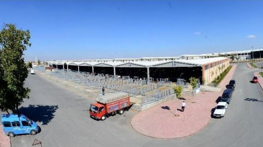 Modern Hayvan Pazarı Ve Saman Borsası B&uuml;y&uuml;k İlgi G&ouml;r&uuml;yor