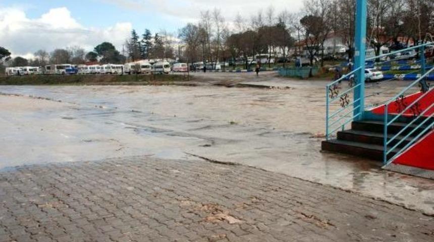 Biga'da Kocabaş &Ccedil;ayı Alarmı