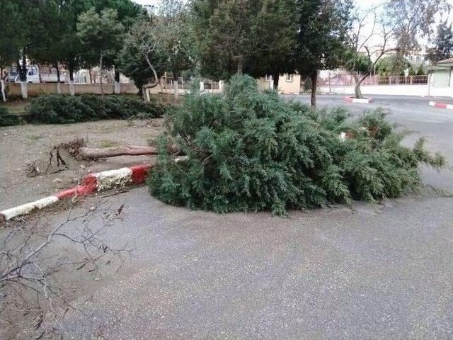 Yunusemre Belediyesi Yara Sardı