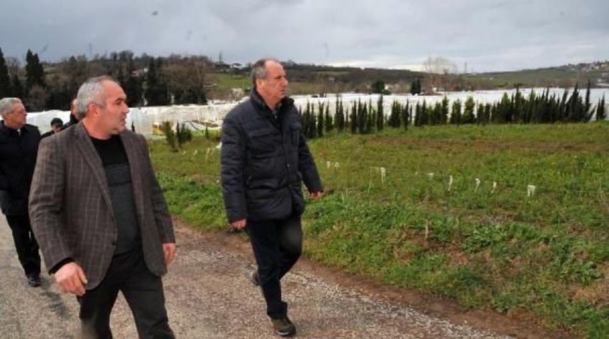 Chp'li İnce Hasar G&ouml;ren Seralarda Inceleme Yaptı