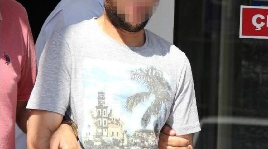 Bonzai Ticaretine Ceza Yağdı