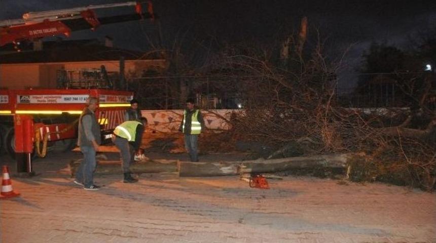 Duyarlı Öğretmen Okulunu Kurtardı