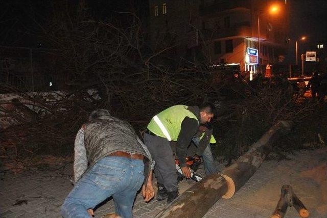 Duyarlı Öğretmen Okulunu Kurtardı