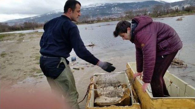 Gölette Mahsur Kalan Çocuğu İtfaiye Ekipleri Kurtardı