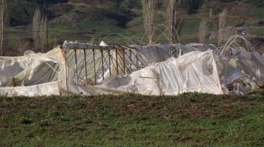 Sındırgılı Seracıları Bu Sefer Lodos Vurdu