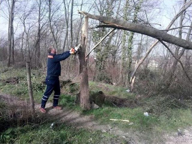 Kartepe’de Fırtınanın İzleri Siliniyor