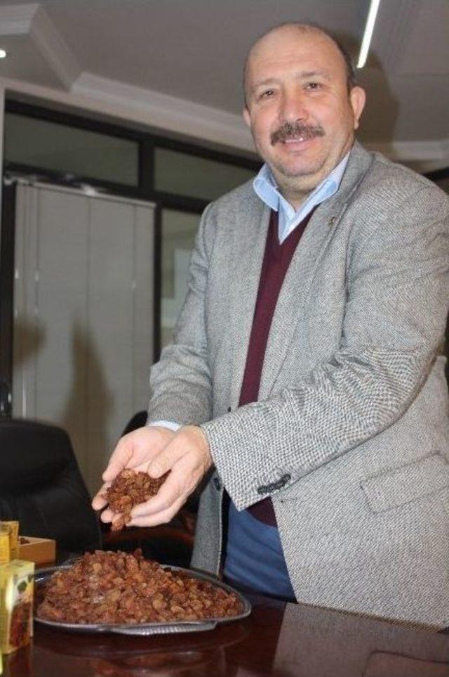 Atso Başkanı Mustafa Seyhan