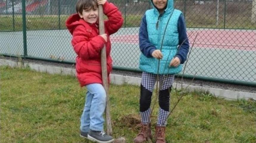 G&ouml;n&uuml;ll&uuml; Gen&ccedil;ler Fidan Dikti