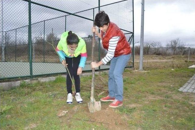 Gönüllü Gençler Fidan Dikti