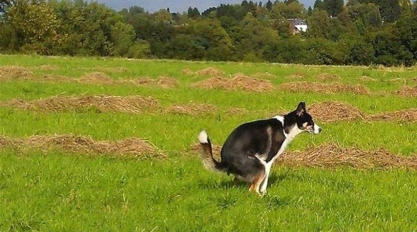2014'te &ouml;ğrenilen &ouml;nemli bilgiler
