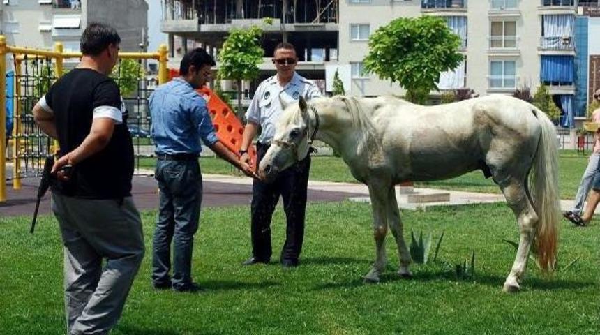 Başıboş Atın &Ccedil;arptığı Motosikletli 6.5 Ay Sonra &Ouml;ld&uuml;