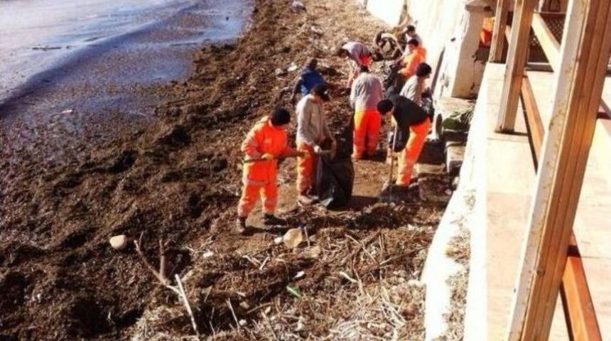 S&uuml;leymanpaşa Belediyesi Lodostan Oluşan Kirliliği Temizlemeye Devam Ediyor