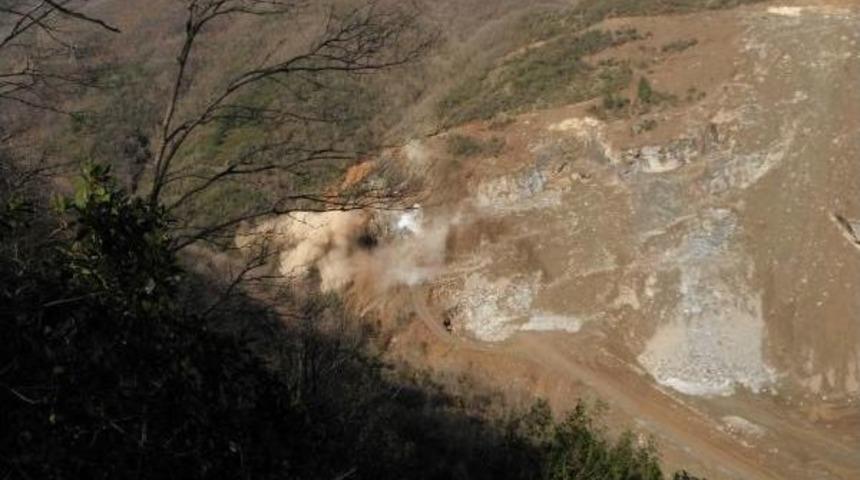 Fotokapanla G&ouml;r&uuml;nt&uuml;len Yaban Kedisi Taş Ocağındaki Patlamada &Ouml;ld&uuml;