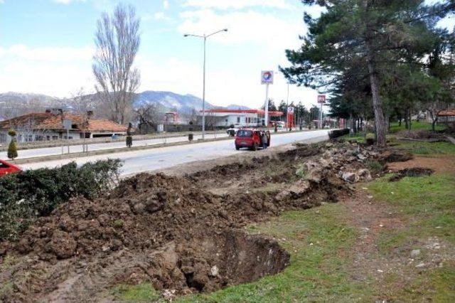 Eğirdir'de Sökülen Ağaçlar Başka Yere Dikildi