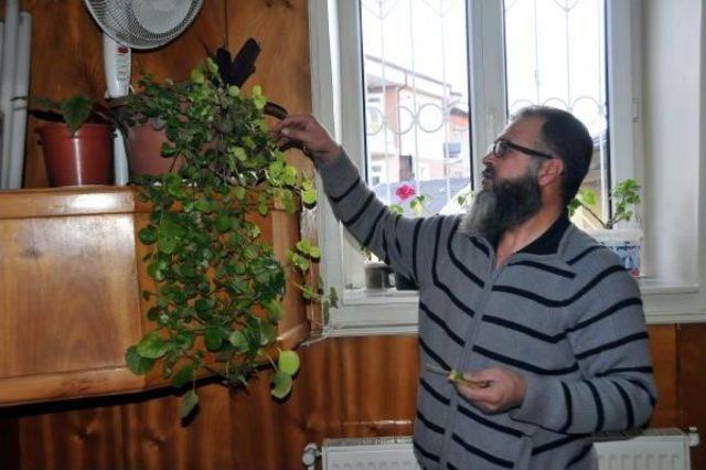 Cezasını Tamamlamak Için 4 Ay Cami Temizleyecek