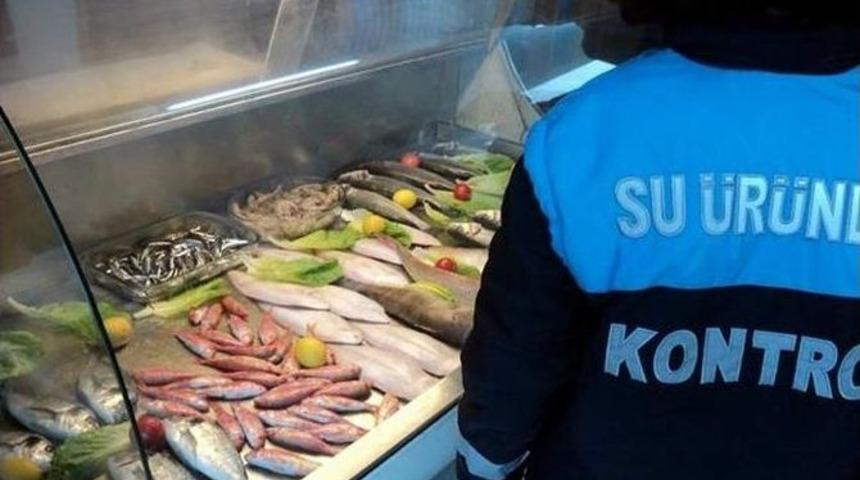 Aydın&rsquo;da Ka&ccedil;ak Avlanan Balık&ccedil;ılara 12 Bin Tl Ceza Kesildi