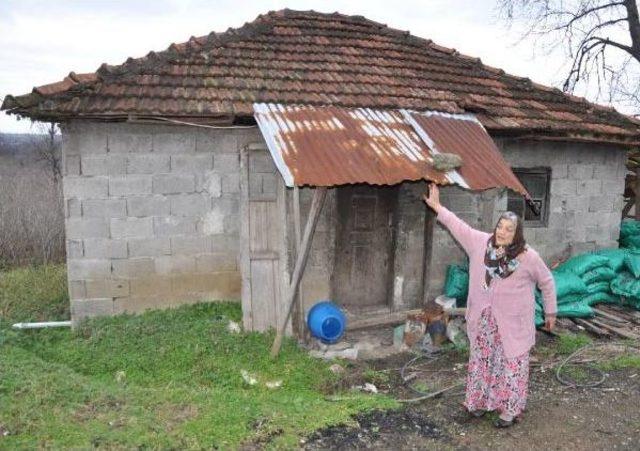 Samsun'da Zihinsel Engelli Kadın Ve 2 Oğluna Belediyeden Ev