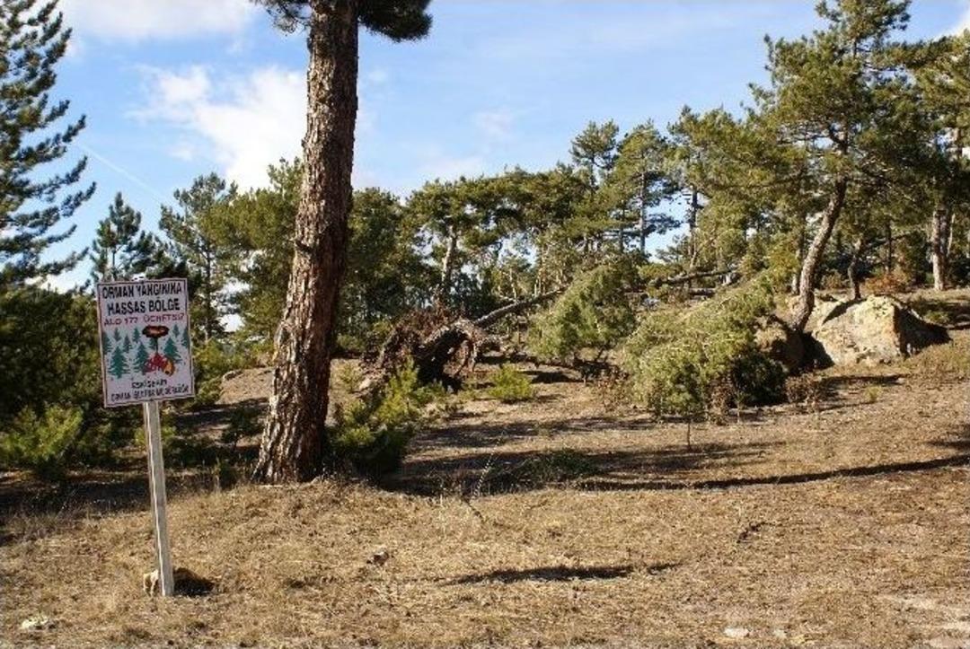 (&ouml;zel Haber) -seyitgazi&rsquo;te G&ouml;r&uuml;lmemiş Yıkım