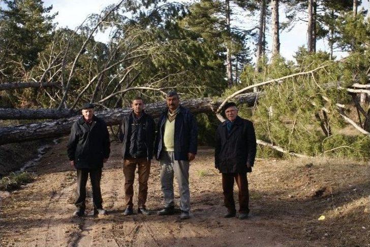 (özel Haber) -seyitgazi’te Görülmemiş Yıkım G1