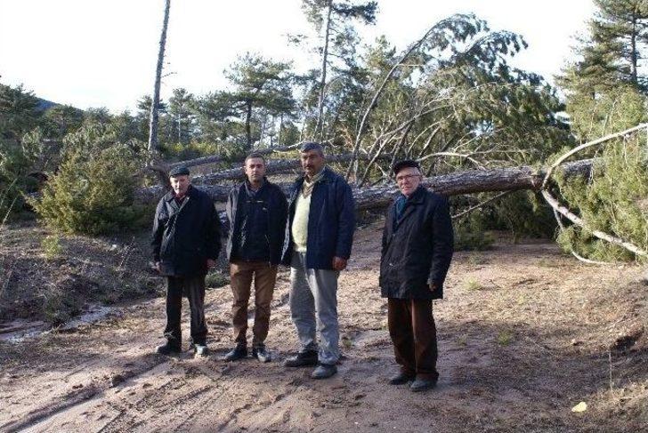 (özel Haber) -seyitgazi’te Görülmemiş Yıkım G2