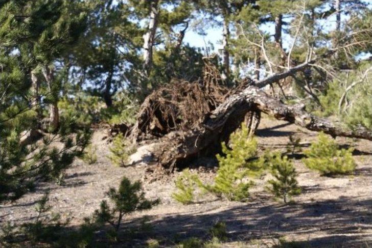 (özel Haber) -seyitgazi’te Görülmemiş Yıkım G3