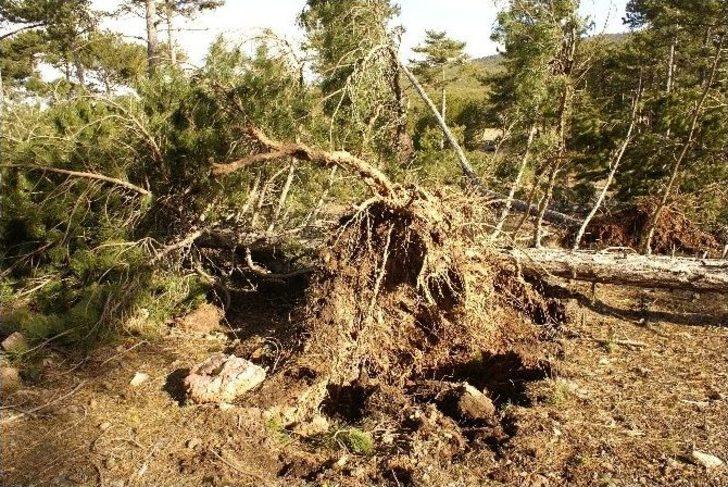 (özel Haber) -seyitgazi’te Görülmemiş Yıkım G5