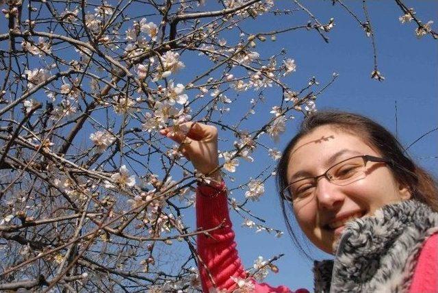 Fethiye’de Bademler Çiçek Açtı