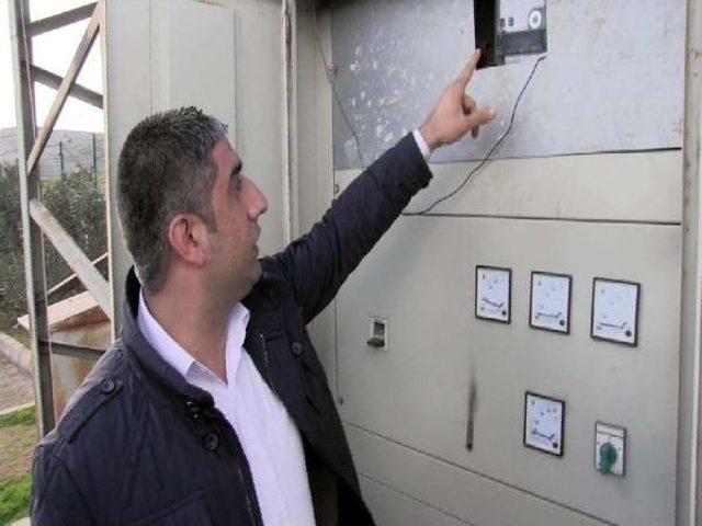 Hayvan Pazarında Elektrik Teli Koptu: 8 Koyun Telef Oldu