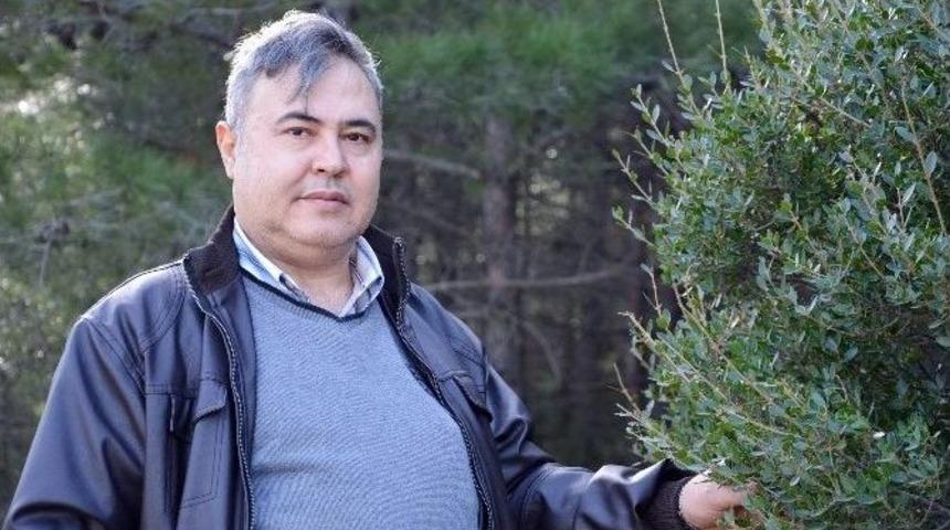 Ege Lokmanı Spil&rsquo;de Bitki T&uuml;rlerini İnceledi