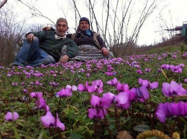 Karadeniz’de Bahar Havası