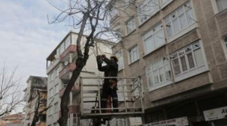 G&uuml;ng&ouml;ren&rsquo;de &ldquo;yeşil&rdquo; &Ccedil;alışma