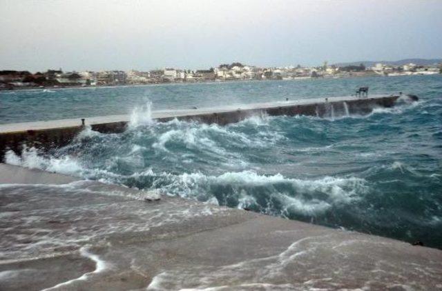 Didim'de Şiddetli Rüzgar Hayatı Olumsuz Etkiliyor