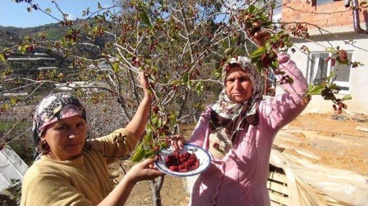 Kış Ortasında "yaz" Meyveleri Şaşırttı G2