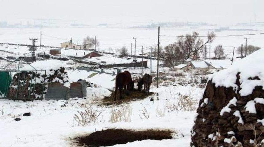 Erzurum'un Tekman: -24,5