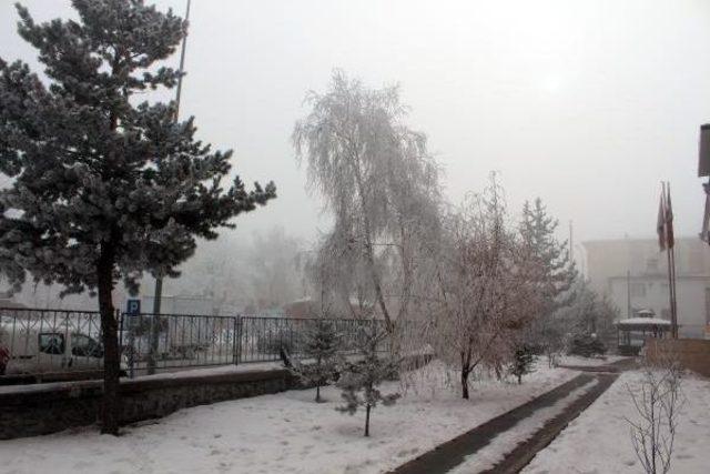 Erzurum un Tekman: -24,5 1