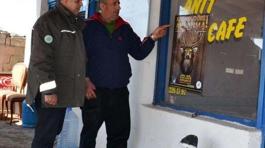 Kafana G&ouml;re Avlanma Projesi