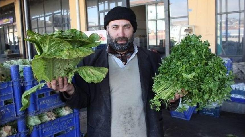 &Ccedil;ukurova&rsquo;daki Don Felaketi Fiyatları İki Katına &Ccedil;ıkardı