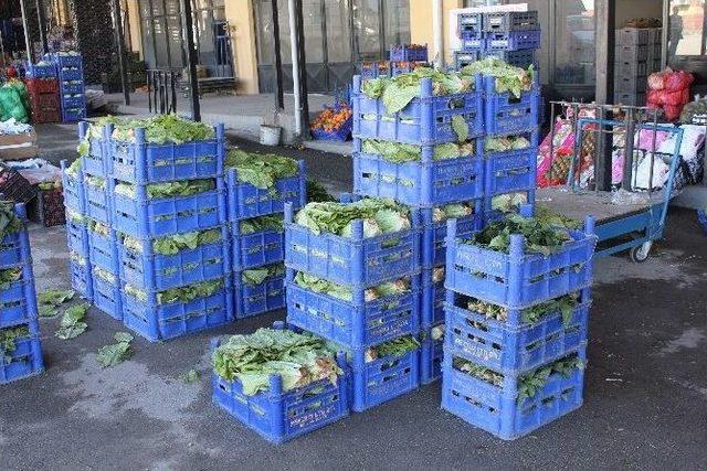 Çukurova’daki Don Felaketi Fiyatları İki Katına Çıkardı