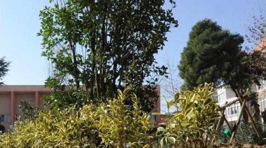 Süleymanpaşa’da Parklar Her Dönem Yeşil Kalacak