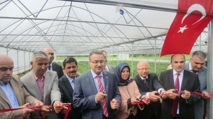 D&uuml;zce&rsquo;de Tarım Ve Hayvancılıkta 2014 Yılı Dolu Dolu Ge&ccedil;ti