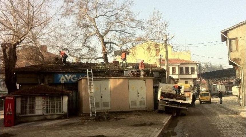 Tavşanlı&rsquo;da Lodos&rsquo;un İzleri Siliniyor