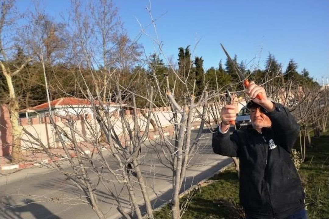 Bilecik Belediyesi Ekiplerinin Temizlik Ve Bakım &Ccedil;alışmaları
