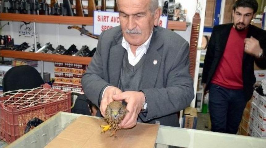 Atmacayı &Ccedil;ocuğu Gibi Besliyor